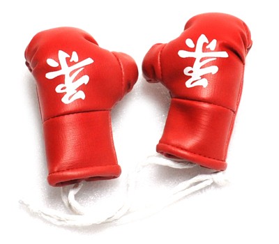 Mini Boxing Glove ACC5302