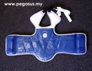 ORIENTAL REVERSIBLE BODY PROTECTOR (RED & BLUE)
