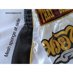 Children’s Muay Thai Shorts MTS211 – Satin, Sporty, Stylish