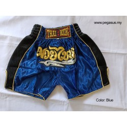 Children’s Muay Thai Shorts MTS211 – Satin, Sporty, Stylish